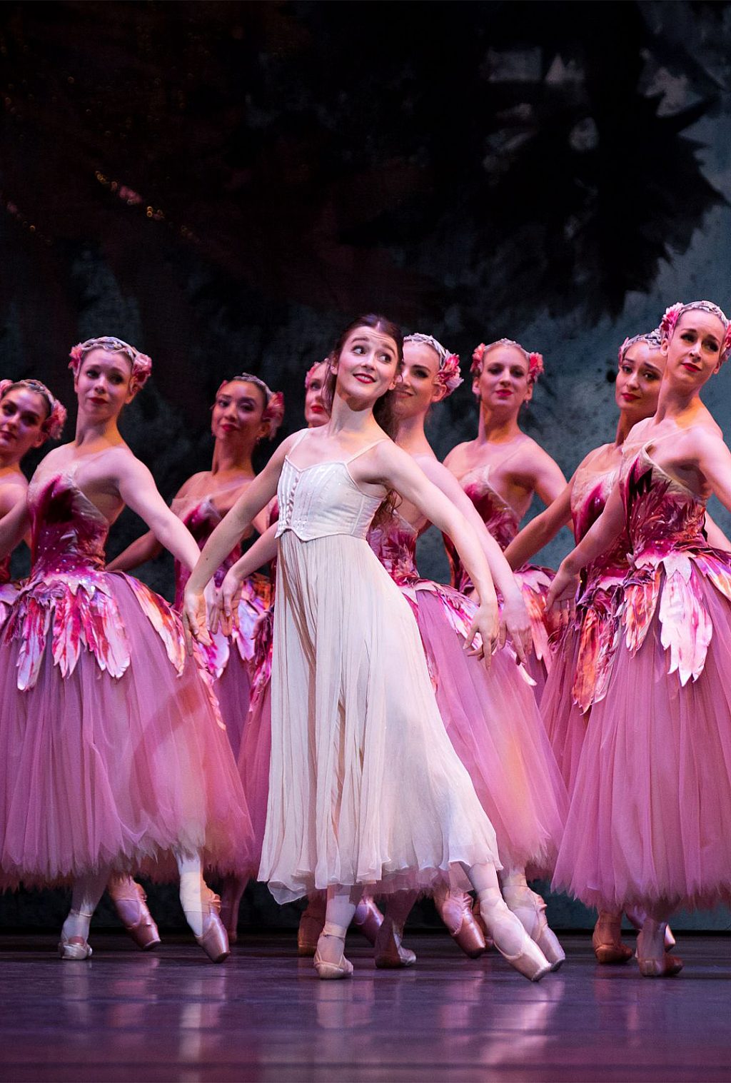 Nutcracker The Story of Clara The Australian Ballet